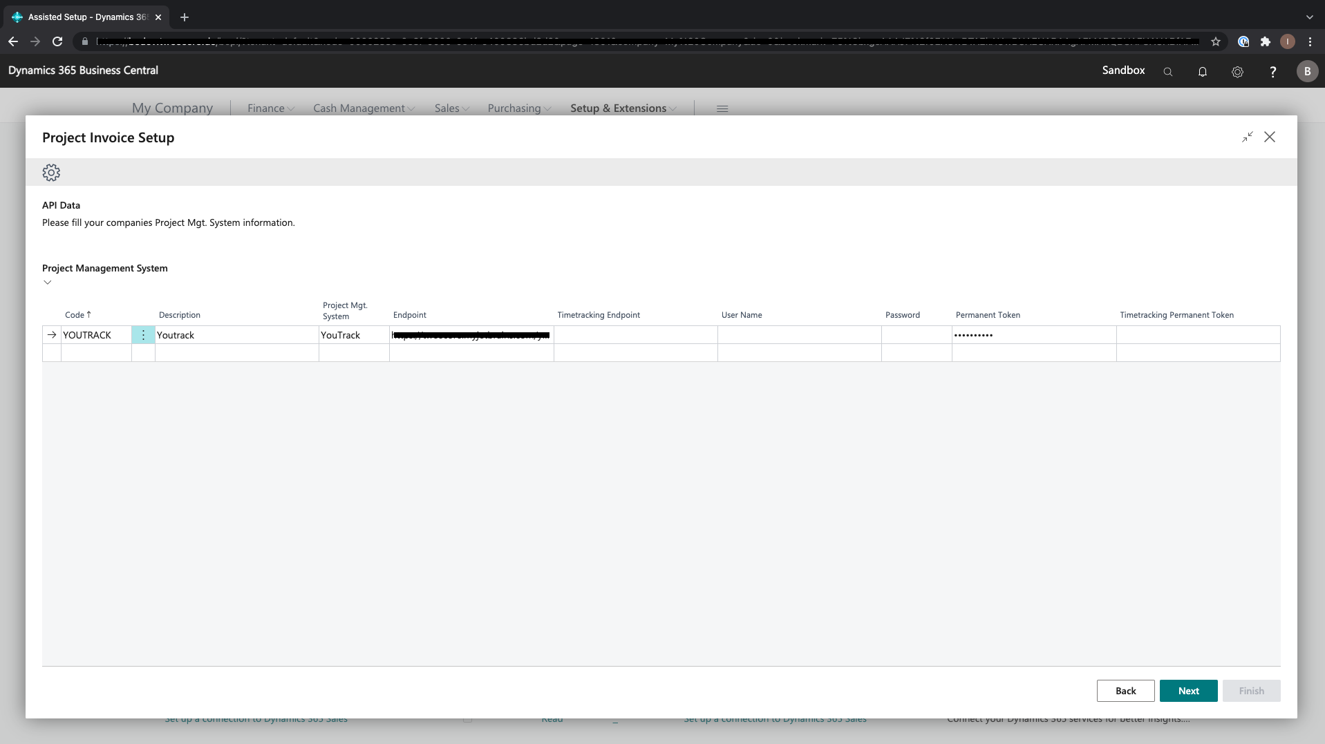 Assisted Setup Project Invoice