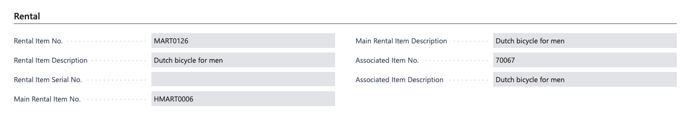 Rental equipment assets